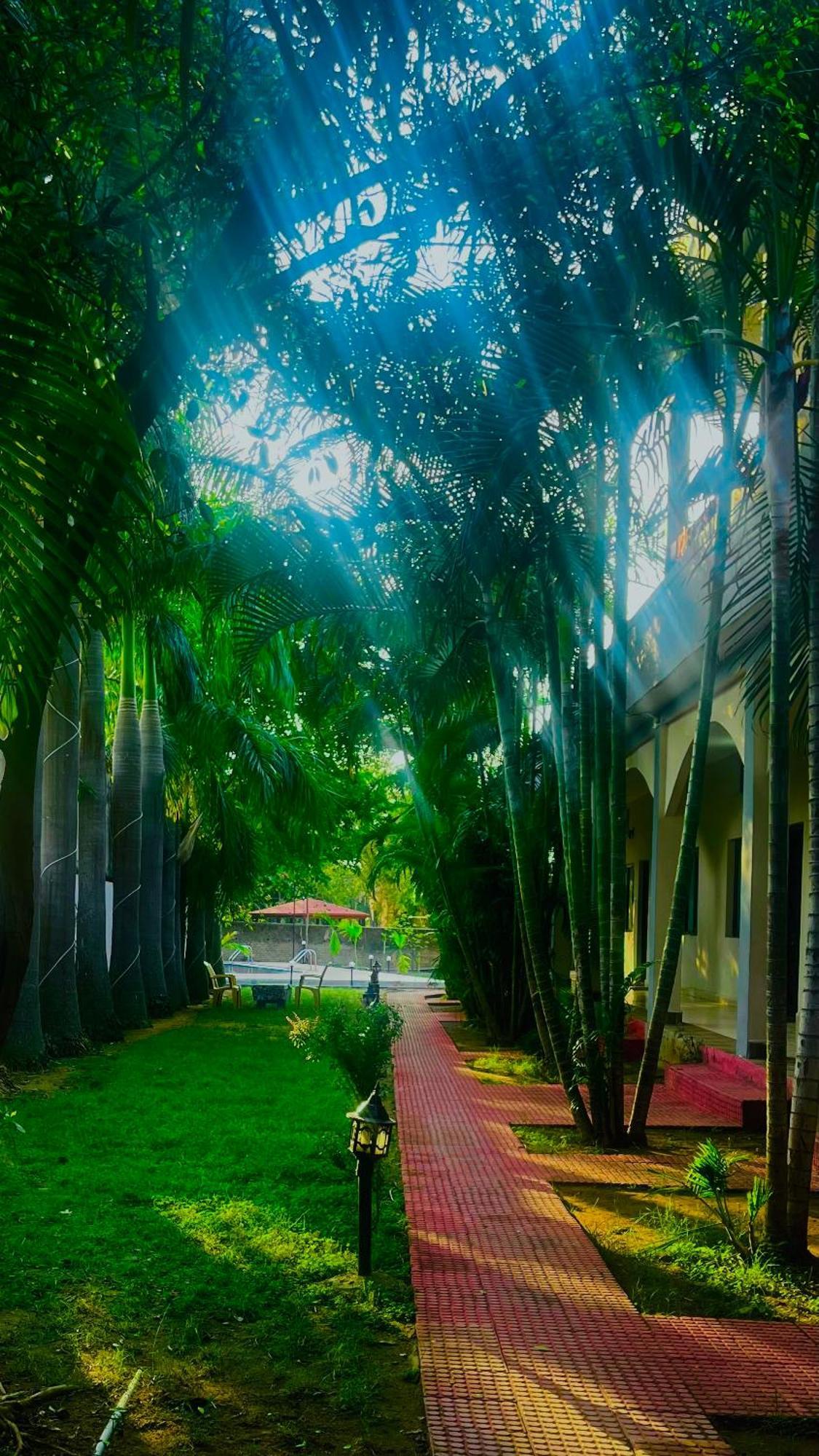 Hotel Jungle Palace Resort Umaria  Exterior photo